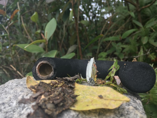 你在故宫修文物,我在红瓜子拍企业宣传片 你在故宫修文物,我在红瓜子拍企业宣传片