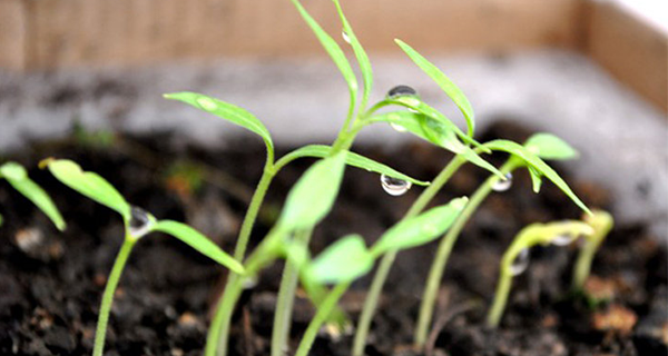 企业宣传片拍摄怎样体现客户的想法？